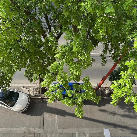 Point * 布拉迪斯拉发